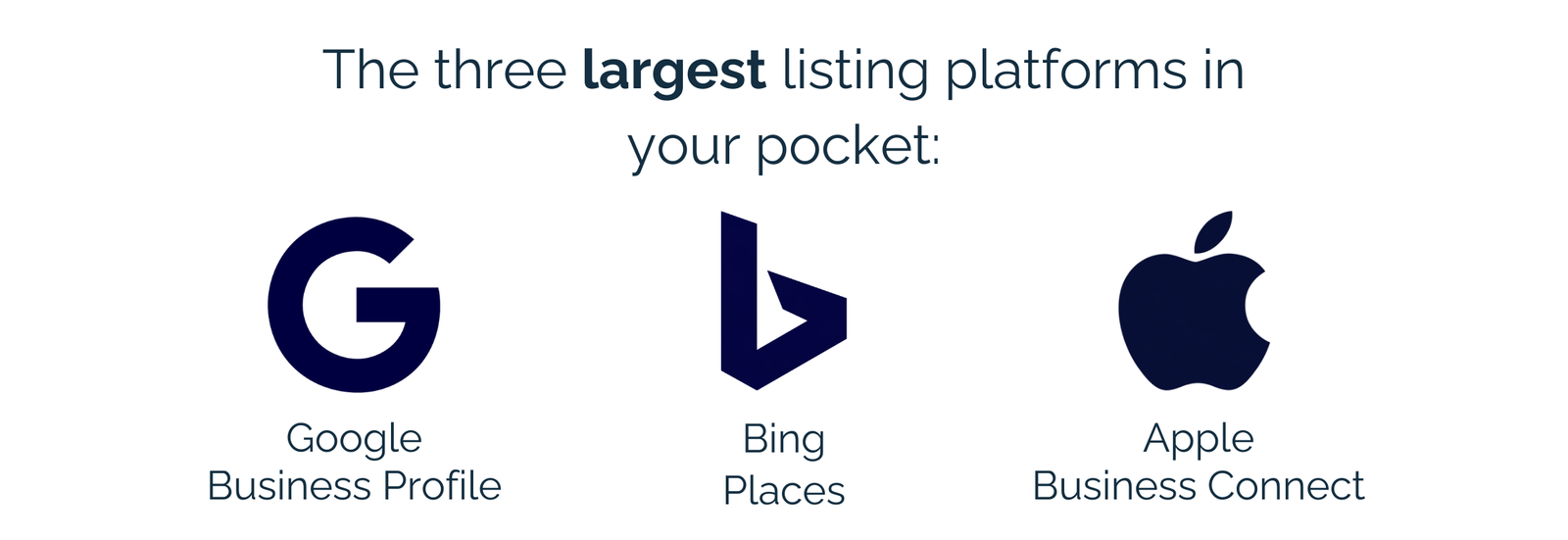Google, Bing, and Apple Business platforms